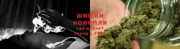 мдпв Верея