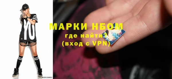 мдпв Верея