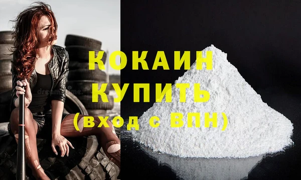 мдпв Верея