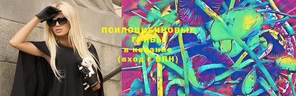 мдпв Верея